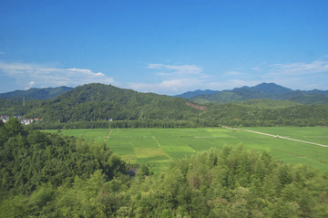 农田绿野好景色