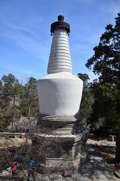 大觉寺白塔