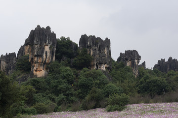 乃古石林风景区