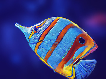 熱帶魚彩虹條紋