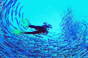 熱帶魚群