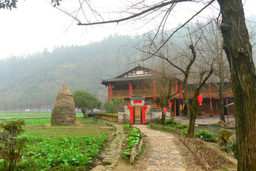 乡村民居和田园