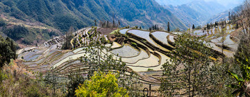 云南红河哈尼梯田全景图