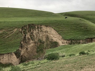 新疆夏季牧场