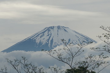 富士山