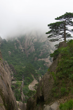 黄山游客步道