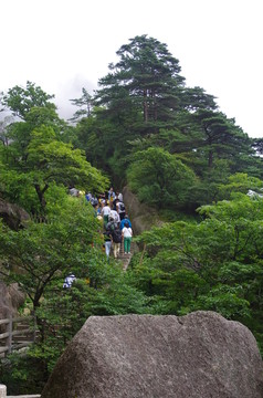黃山游客