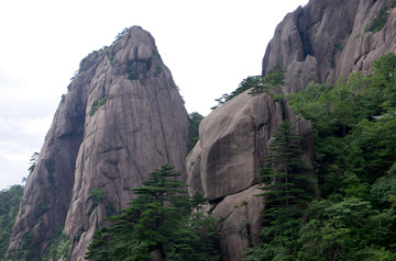 黄山松涛