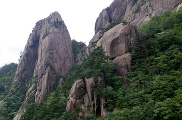 黃山松濤