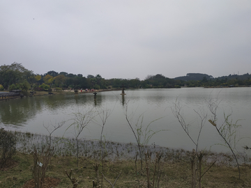 湖水湖面