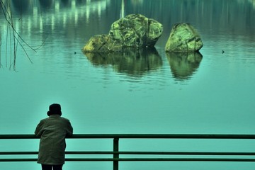 湖边看风景