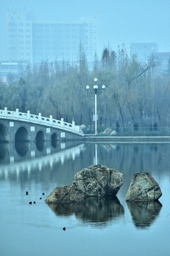 湖泊中的水鸟桥和岩石倒影