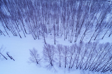 林海雪原树林航拍