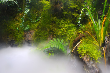 鱼缸布景