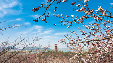 徐州市云龙湖风景区苏公塔