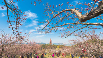 徐州市云龙湖风景区苏公塔