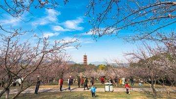 徐州市云龙湖风景区苏公塔