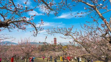 徐州市云龙湖风景区苏公塔