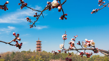 徐州市云龙湖风景区苏公塔