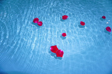 水面上漂浮的玫瑰花瓣