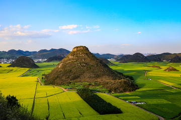 罗平金鸡峰丛油菜花海