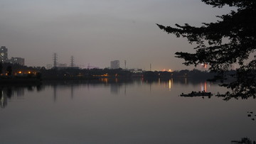 海珠湖夜景