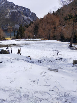 景区雪景