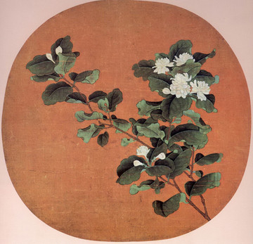 茉莉花圖