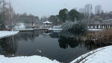 武汉市汉阳月湖公园雪景