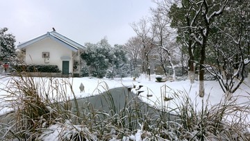 武汉市汉阳月湖公园雪景