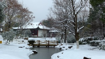 武汉市汉阳区月湖公园雪景