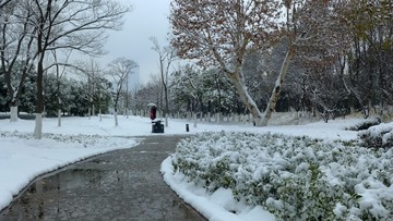 武汉市汉阳区月湖公园雪景