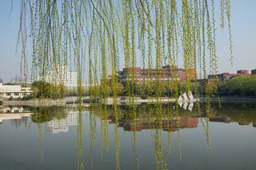 上海交通大学校园