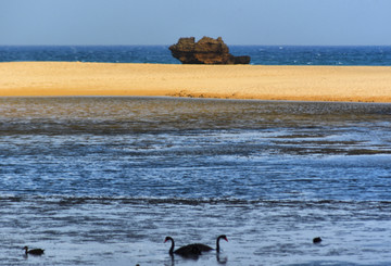 天鹅湖