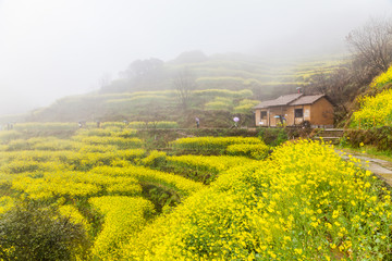 婺源