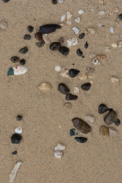 海岛游玩沙滩贝壳和碎珊瑚石