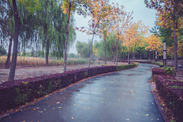 雨天的公园