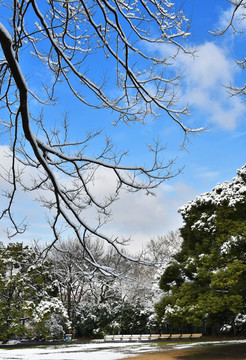 公园雪景