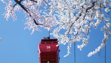 春暖花开