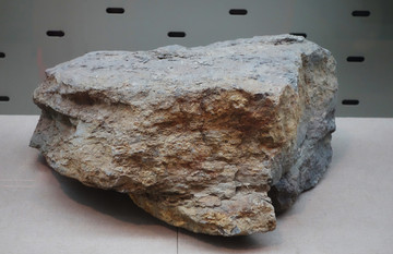介壳石灰岩