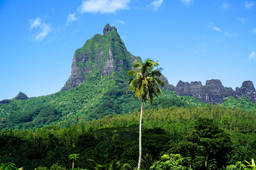 海岛高山