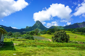 海岛高山