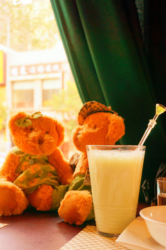 牛奶和布偶泰迪
