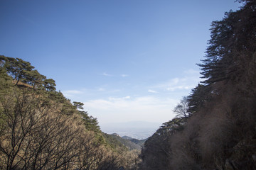 泰山风光