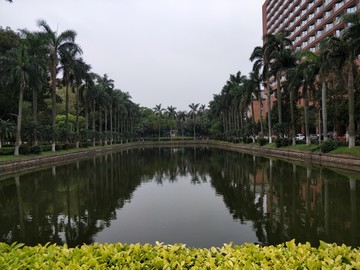 魅力校园中山大学