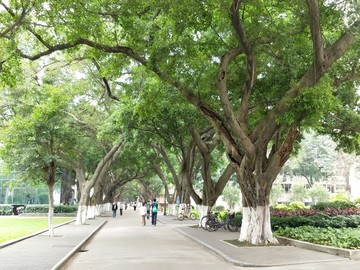 魅力校园中山大学