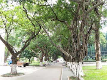 魅力校园中山大学