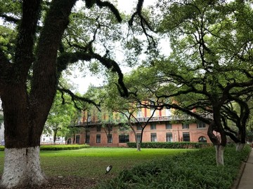 魅力校园中山大学