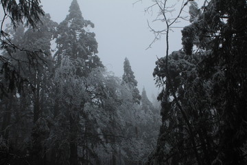 冰雪