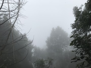 四川简阳丹景山龙泉山脉油菜花